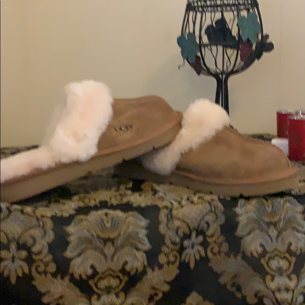 Shoes